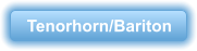 Tenorhorn/Bariton